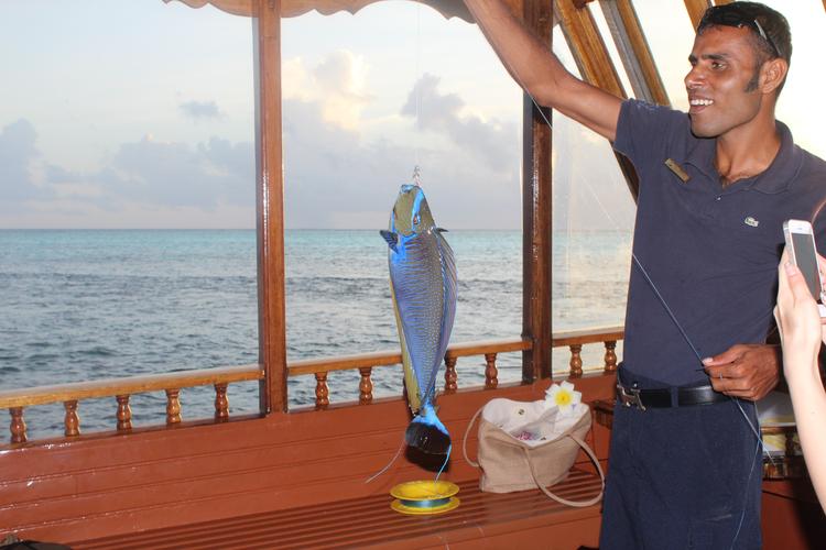 马代钓鱼费用详解？（马尔代夫服务器租用收费价格都与哪些方面有关？）