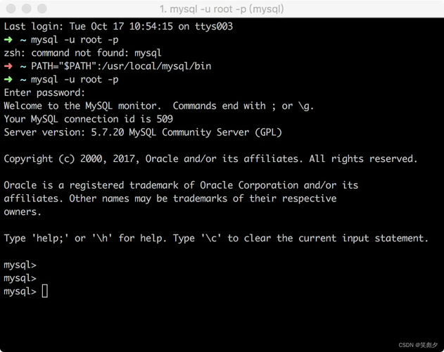 启动Mac上的MySQL服务：步骤详解