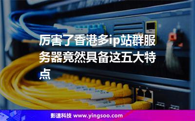 香港多IP站群服务器可以做数据采集吗