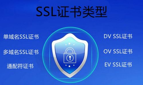 ssl安全证书3级和2级比哪一个更好？