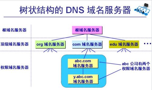 dns服务器的作用以及类型有哪些？