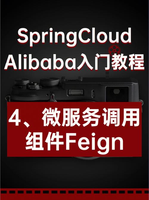 现在Spring Cloud Alibaba2022.0.0.0支持jdk21了吗？