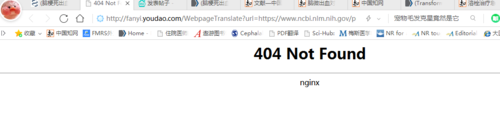 404notfound怎么解释,404notfound是什么意思