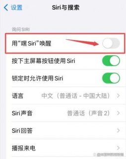 iPhone苹果手机siri应用建议功能怎么关闭-图1