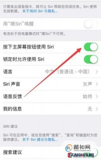 iPhone苹果手机siri应用建议功能怎么关闭-图2