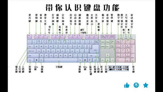 电脑键盘功能基础知识_电脑键盘基本操作知识介绍